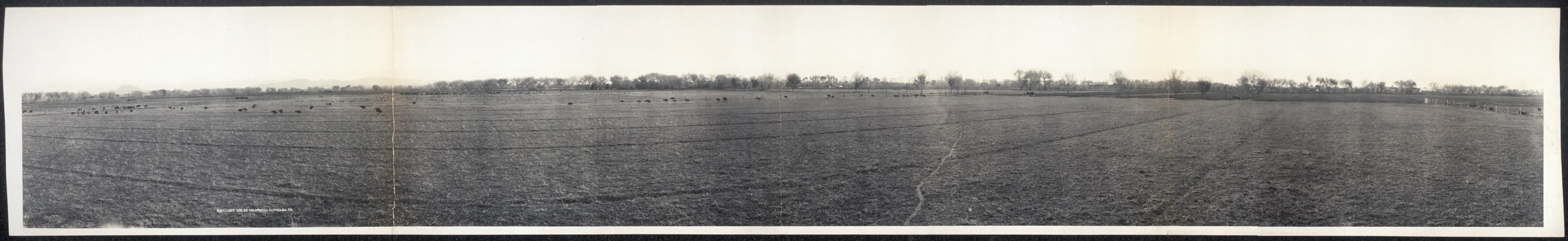 Chandler Ranch in 1908, before the townsite development