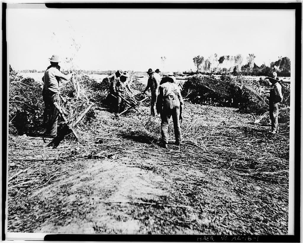Tempe Canal brush dam on the Salt River (historic photo)